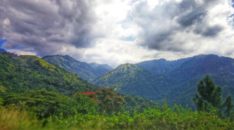 Blue Mountains, Eastern Jamaica, Jamaica